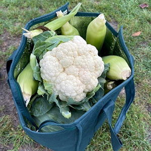 Bag of vegetables